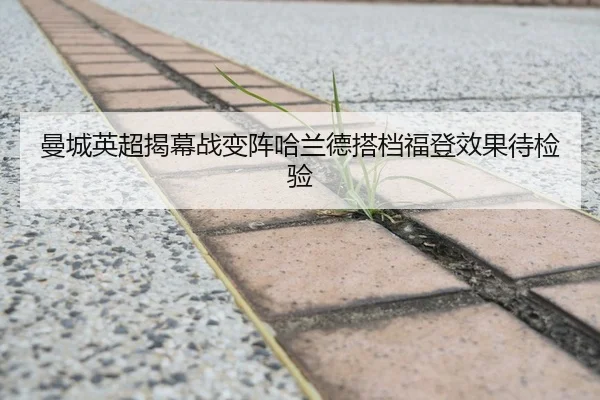 man-cheng-ying-chao-jie-mu-zhan-bian-zhen-ha-lan-de-da-dang-fu-deng-xiao-guo-dai-jian-yan-3-567.jpg