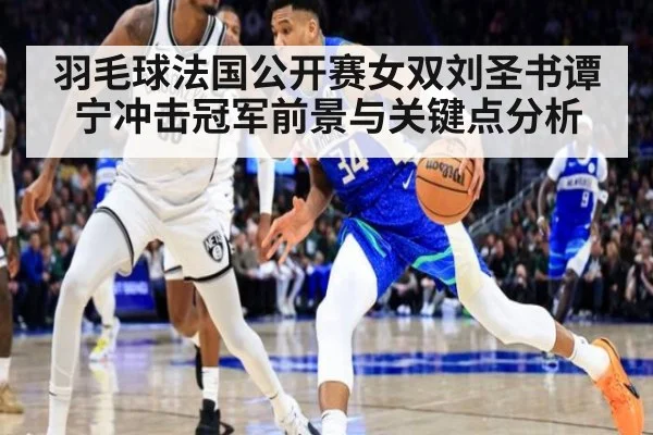 羽毛球法国公开赛女双刘圣书谭宁冲击冠军前景与关键点分析